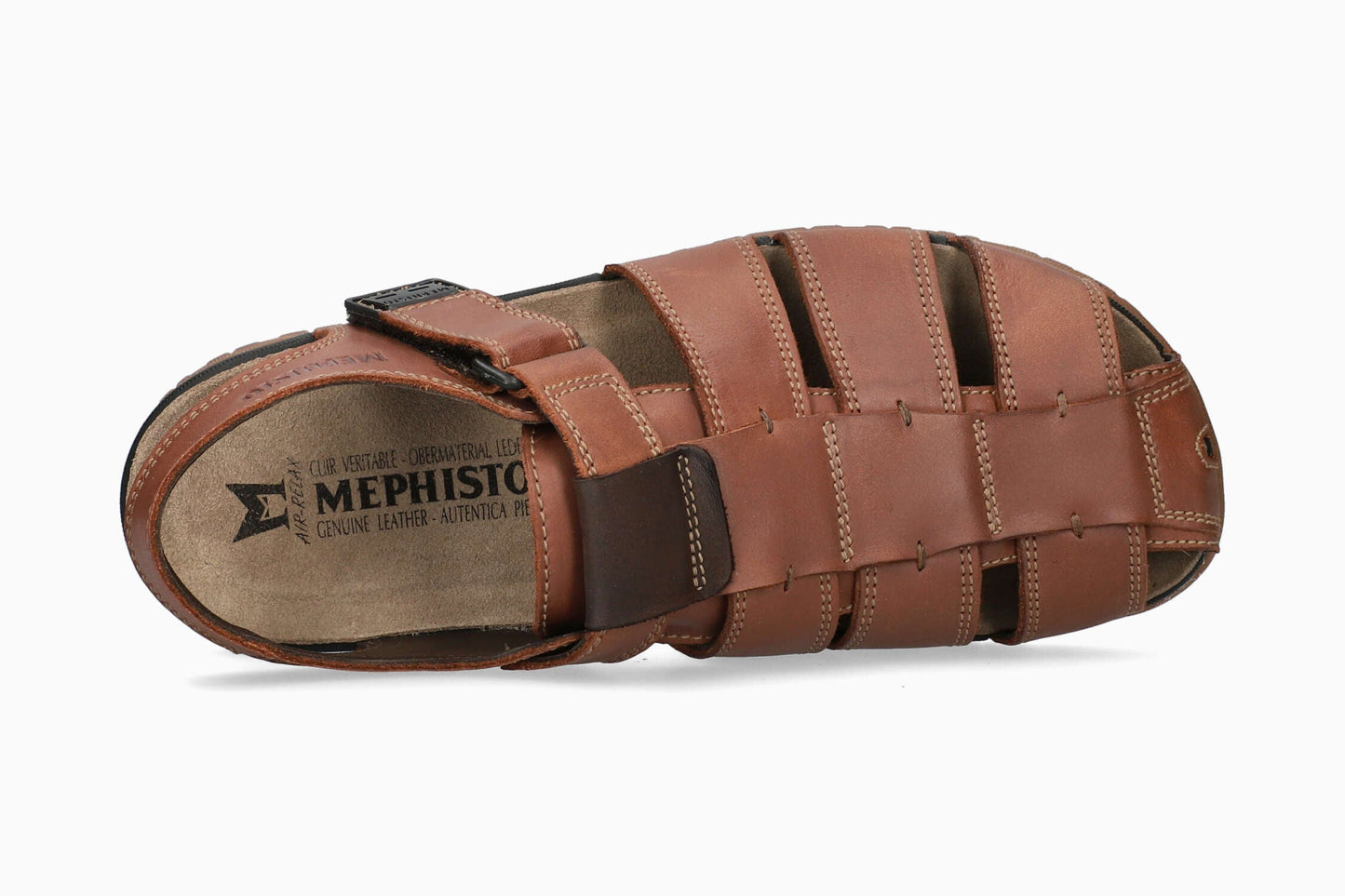 Basile - Chestnut | MOM4