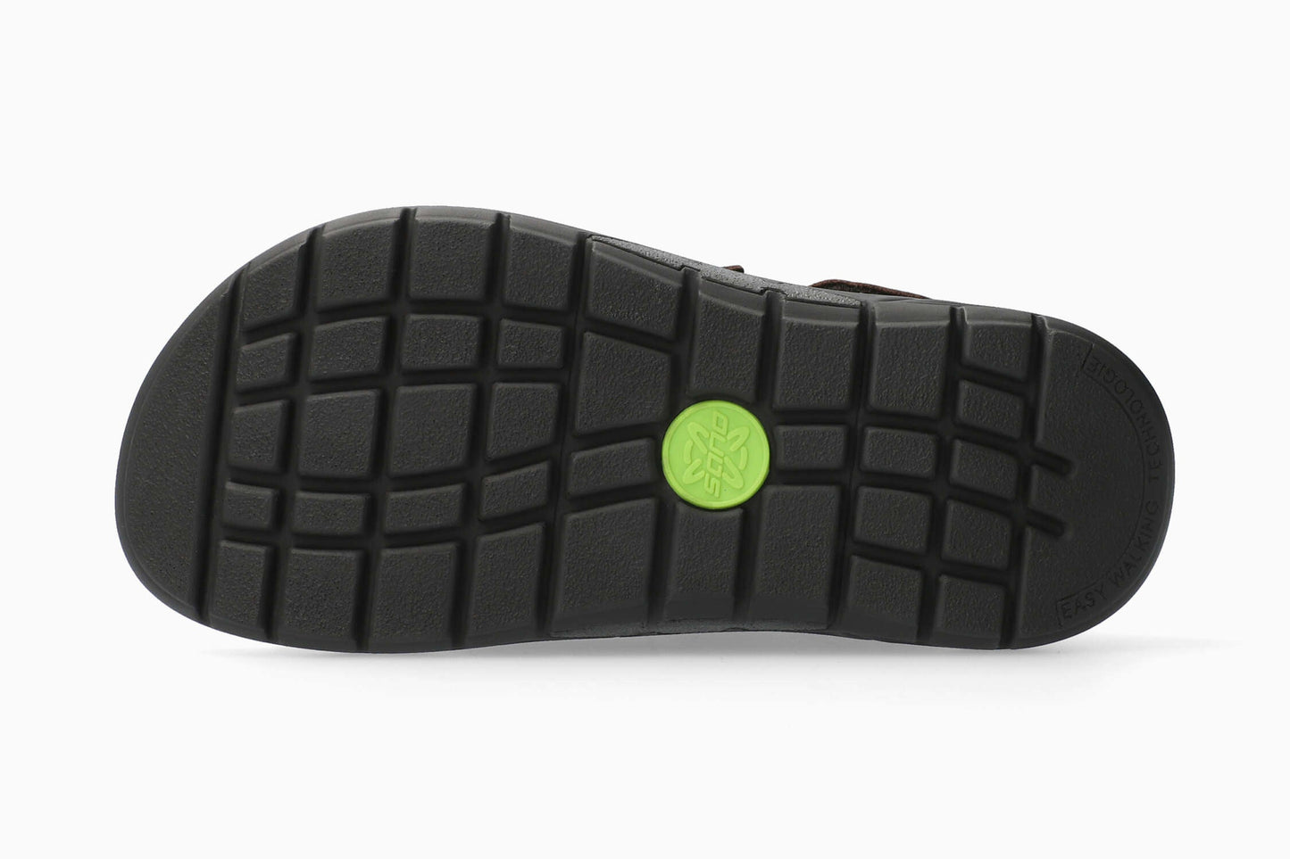 Wilfried - Dark Brown | MOL8