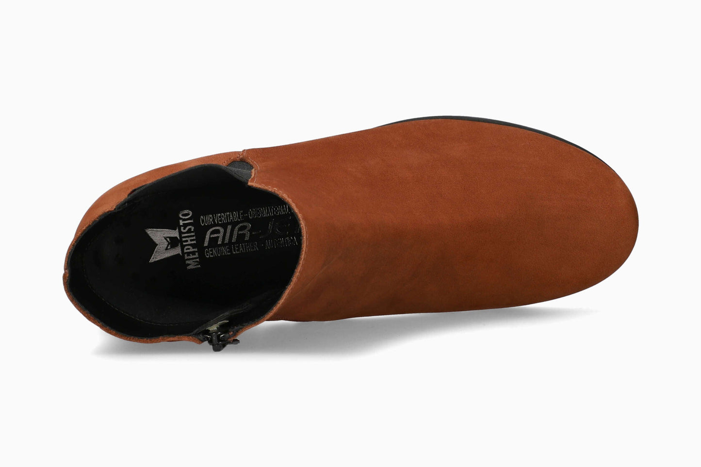 Rafaelle - Hazelnut | M3VB