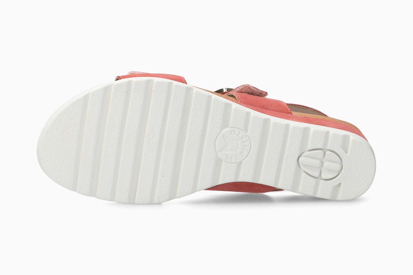 Ysabel - Old Pink | M7CN