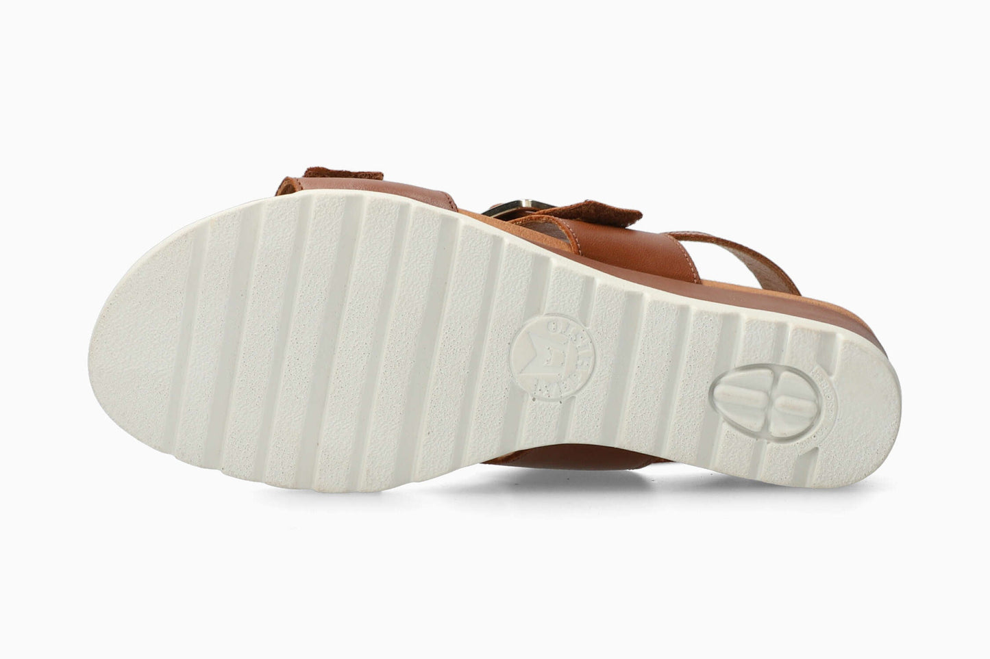 Ysabel - Chili | M3VM