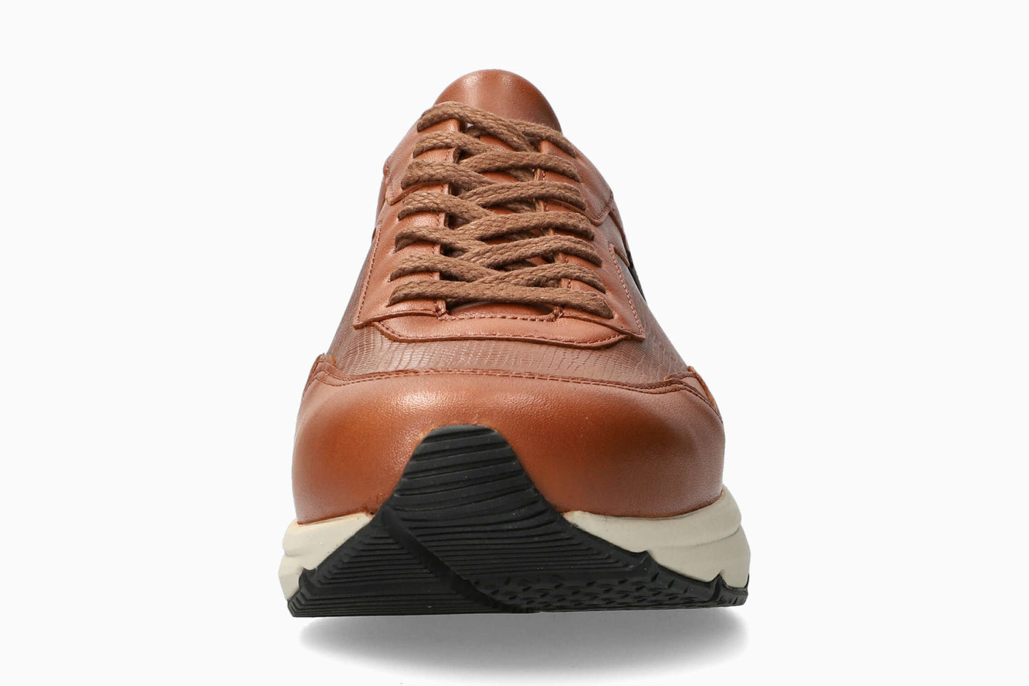 Giani - Hazelnut Men Sneaker