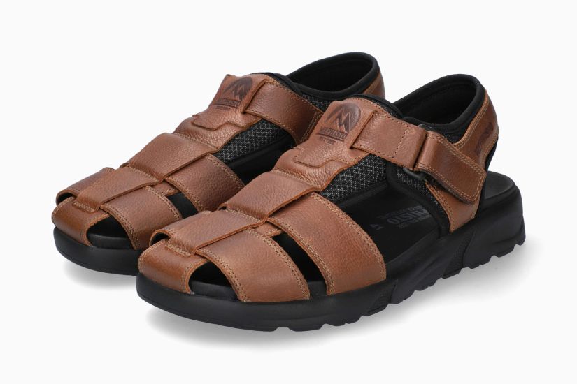 Toren - Hazelnut | M2DJ