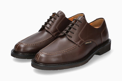 Phoebus - Dark Brown | MV85