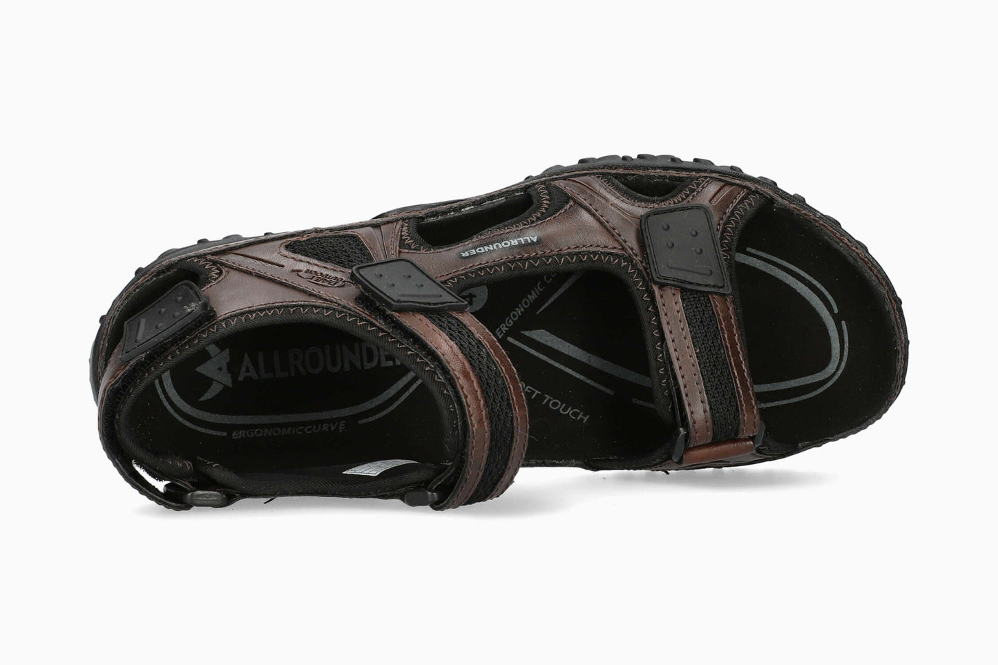 Regent - Brown | A1EO