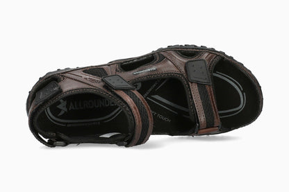 Regent - Brown | A1EO