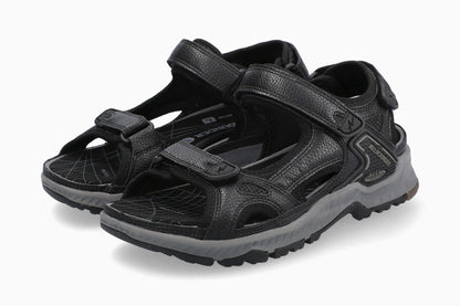 Westside - Black | A2SH