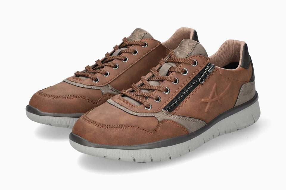 Majestro - Chestnut | A3CT