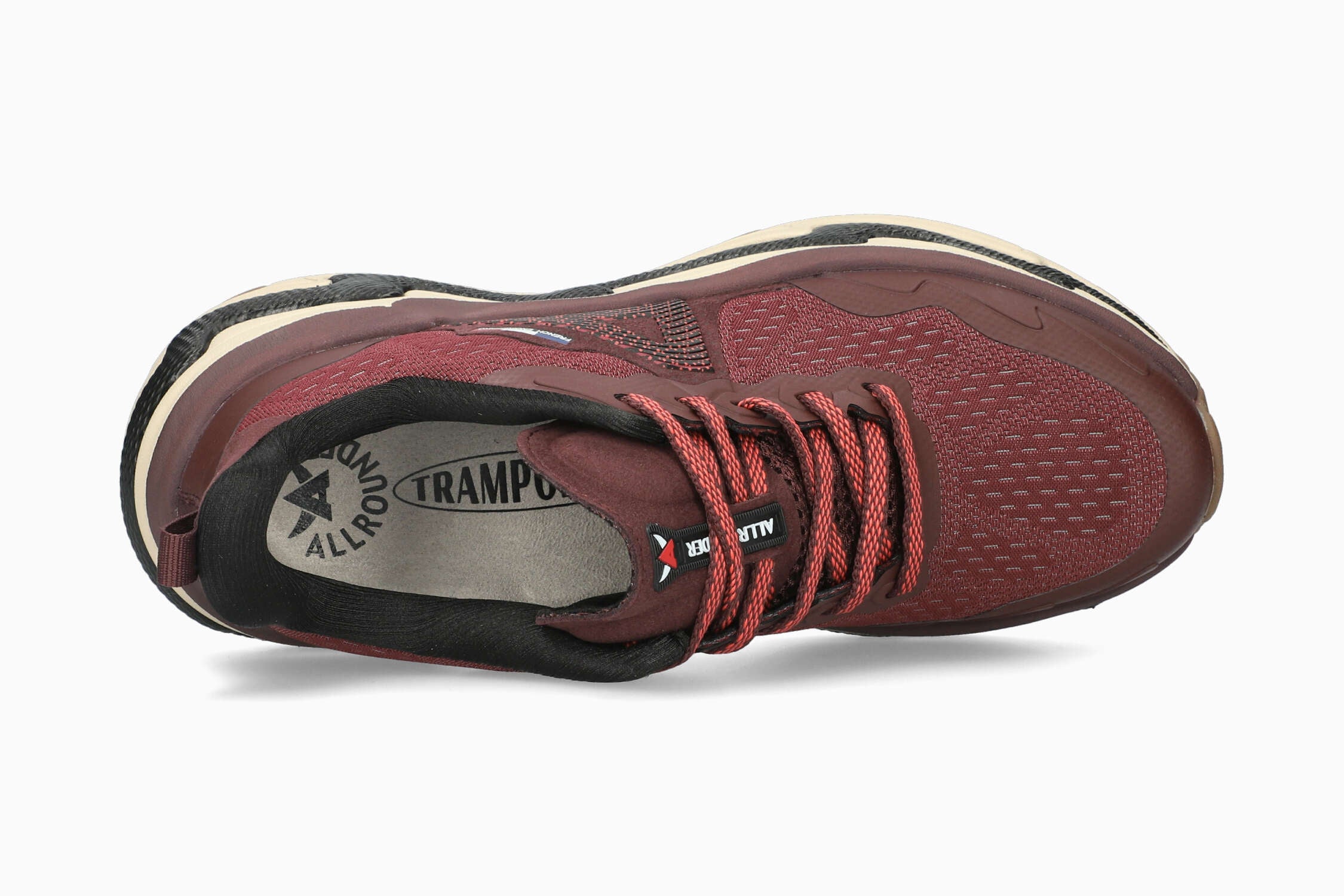 Dynamite - Oxblood Women Sneaker