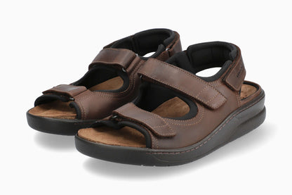 Valden - Dark Brown | MGX4