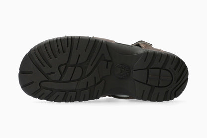 Basile - Pewter | MRQ0