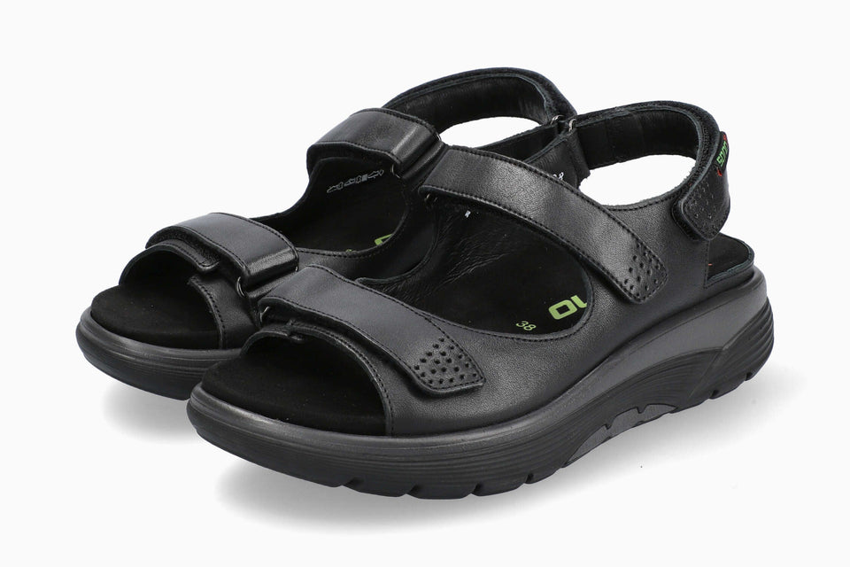 Norine - Black | MQ19