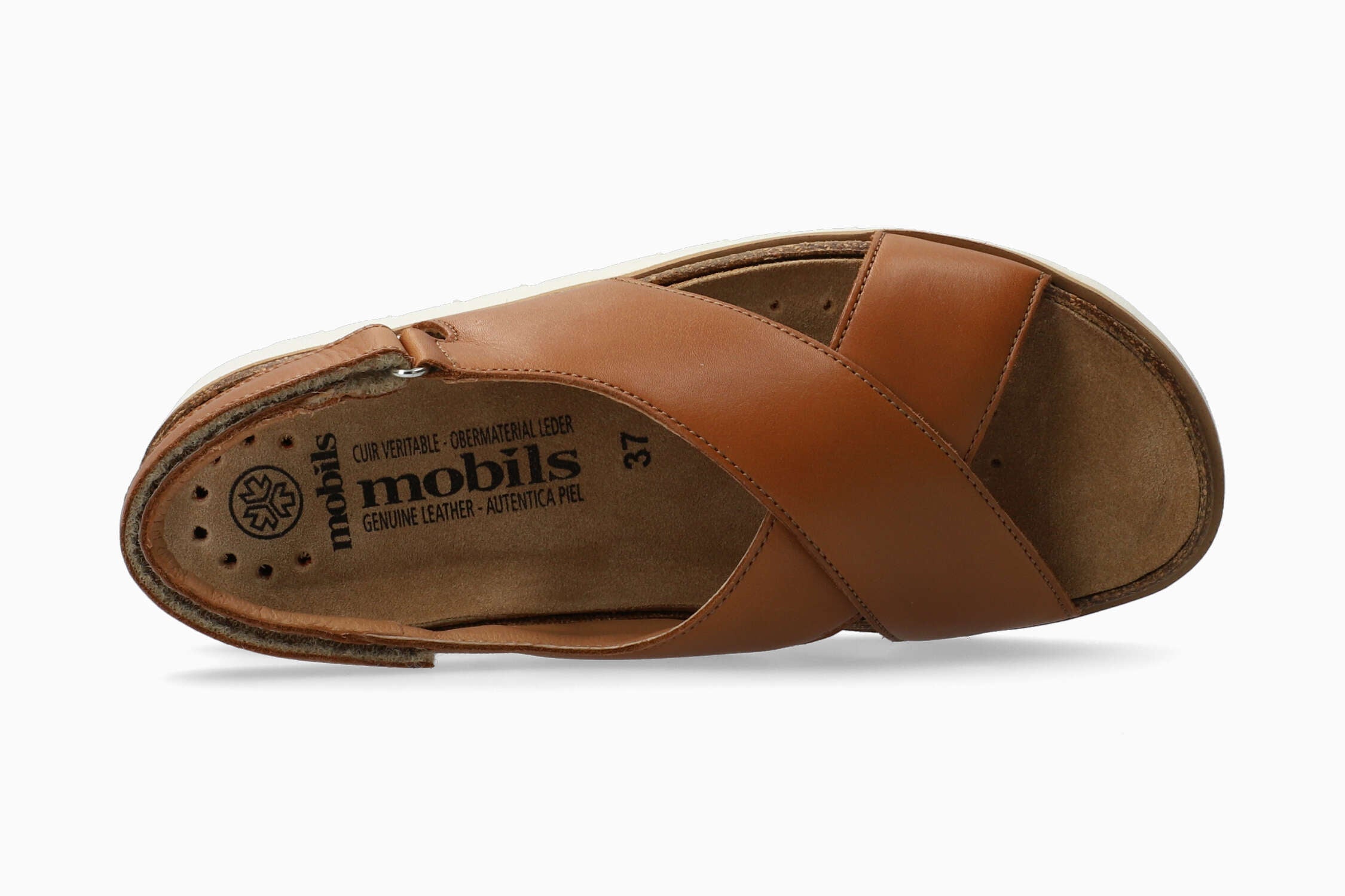 Tally - Brandy | M2PX