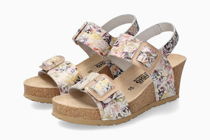 Lissia - Multicolored | M5HE