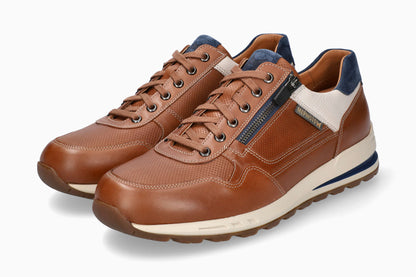 Bradley - Hazelnut | M5ON