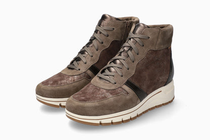 Glorya - Walnut | M6AX
