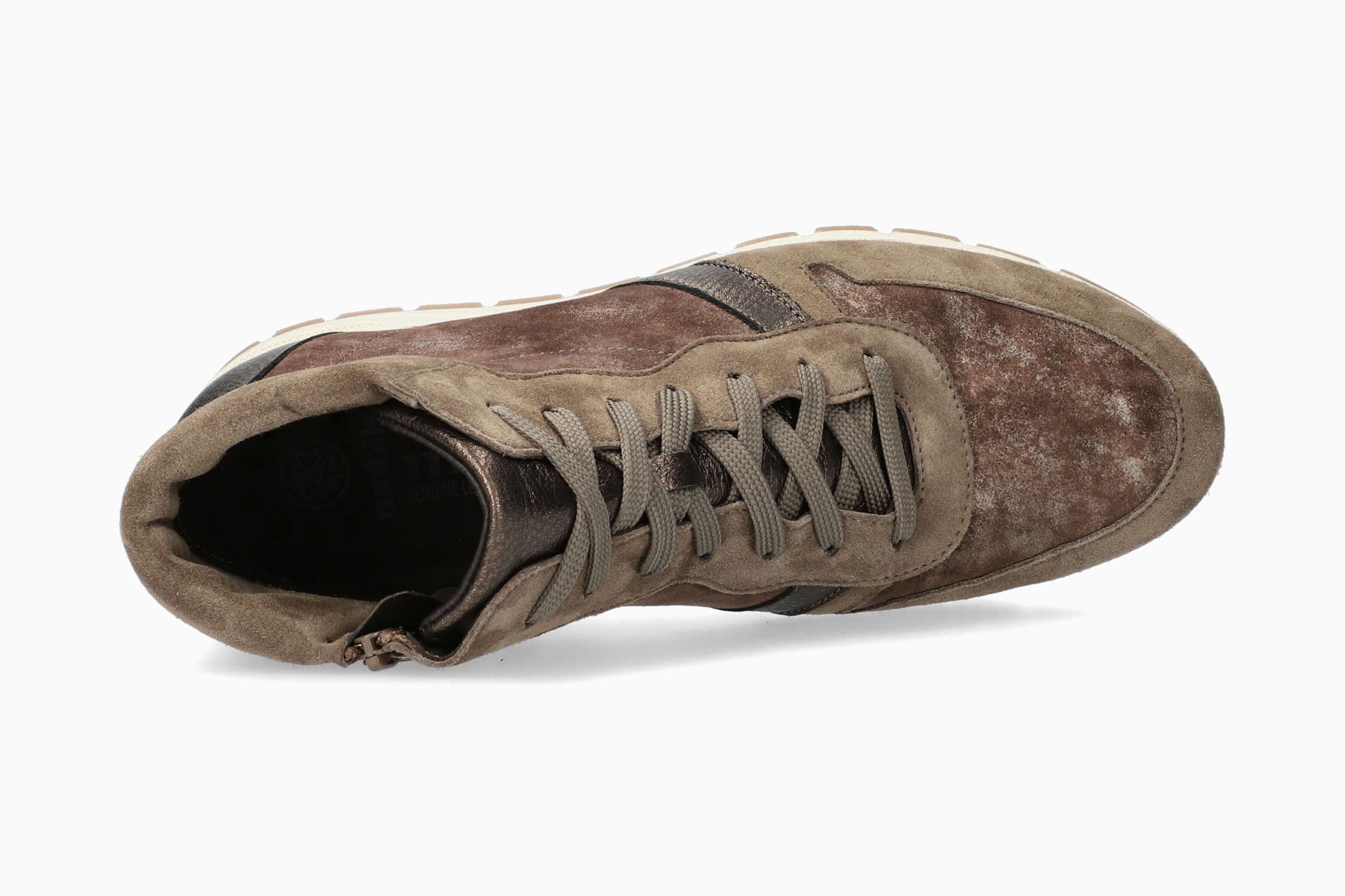 Glorya - Walnut | M6AX
