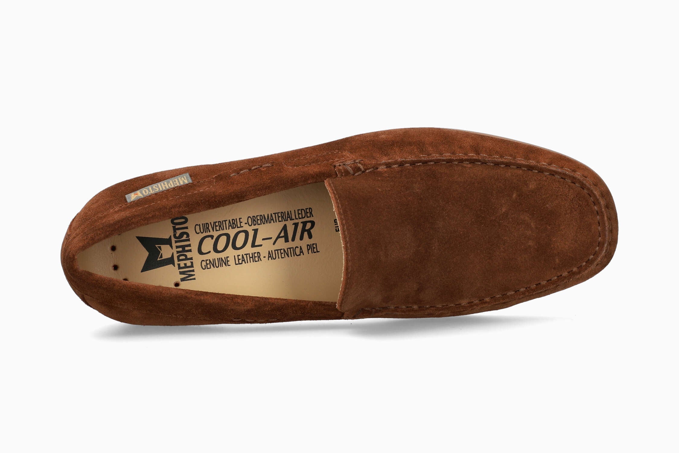 Algoras - Brown | M3ZH