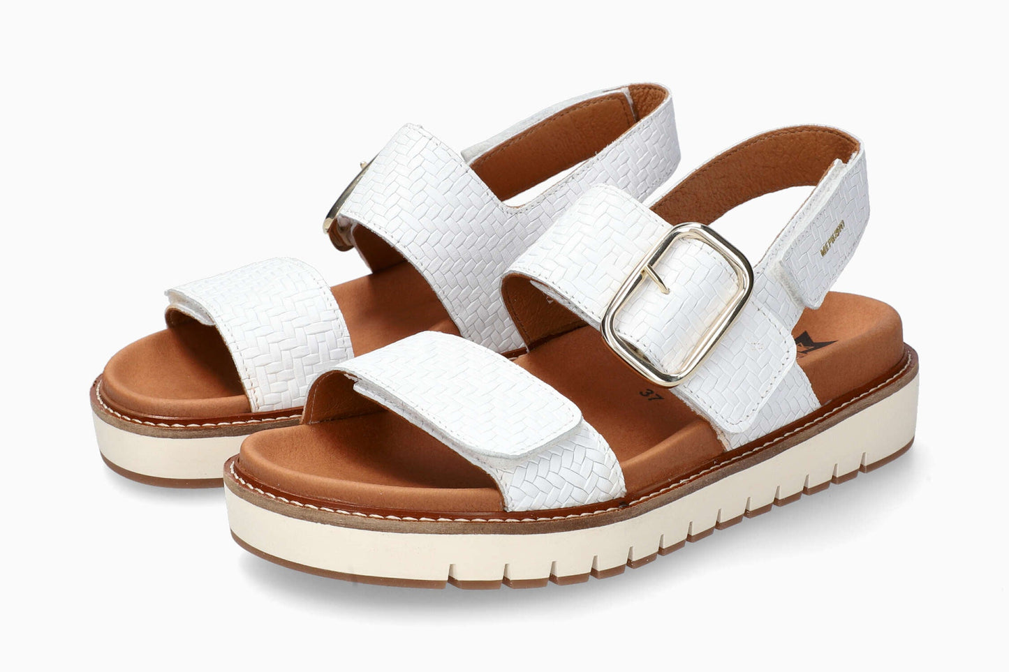 Belona - White | M5GT