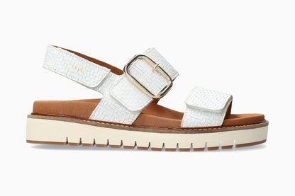 Belona - White | M5GT