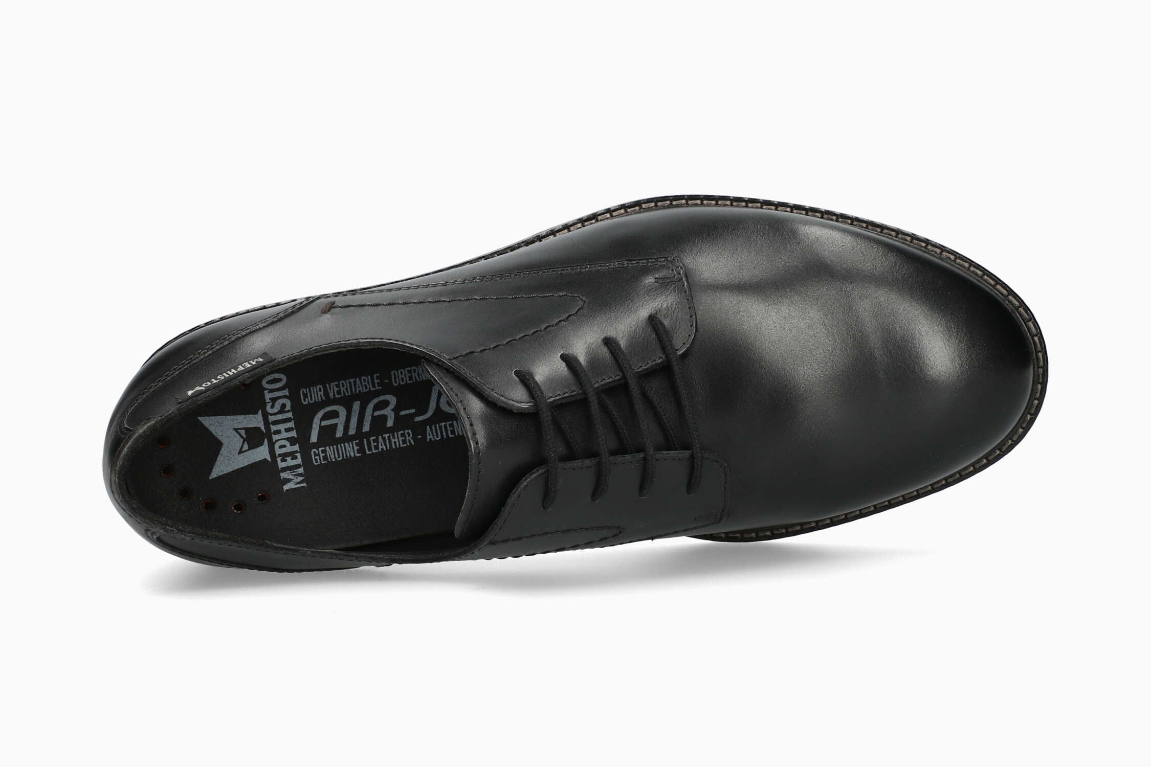 Falco - Black | M2UQ