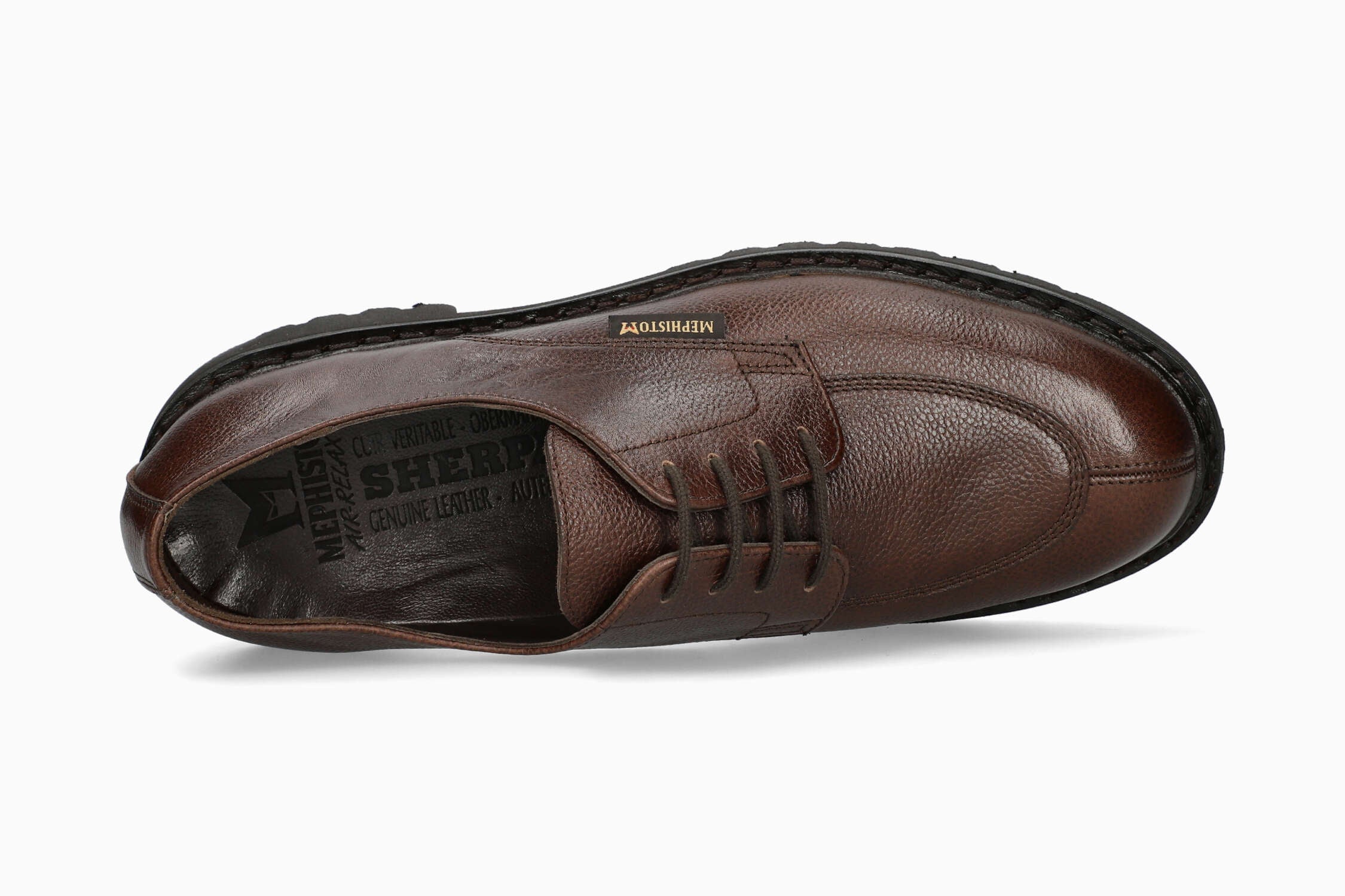 Pegasio - Chestnut | MC13