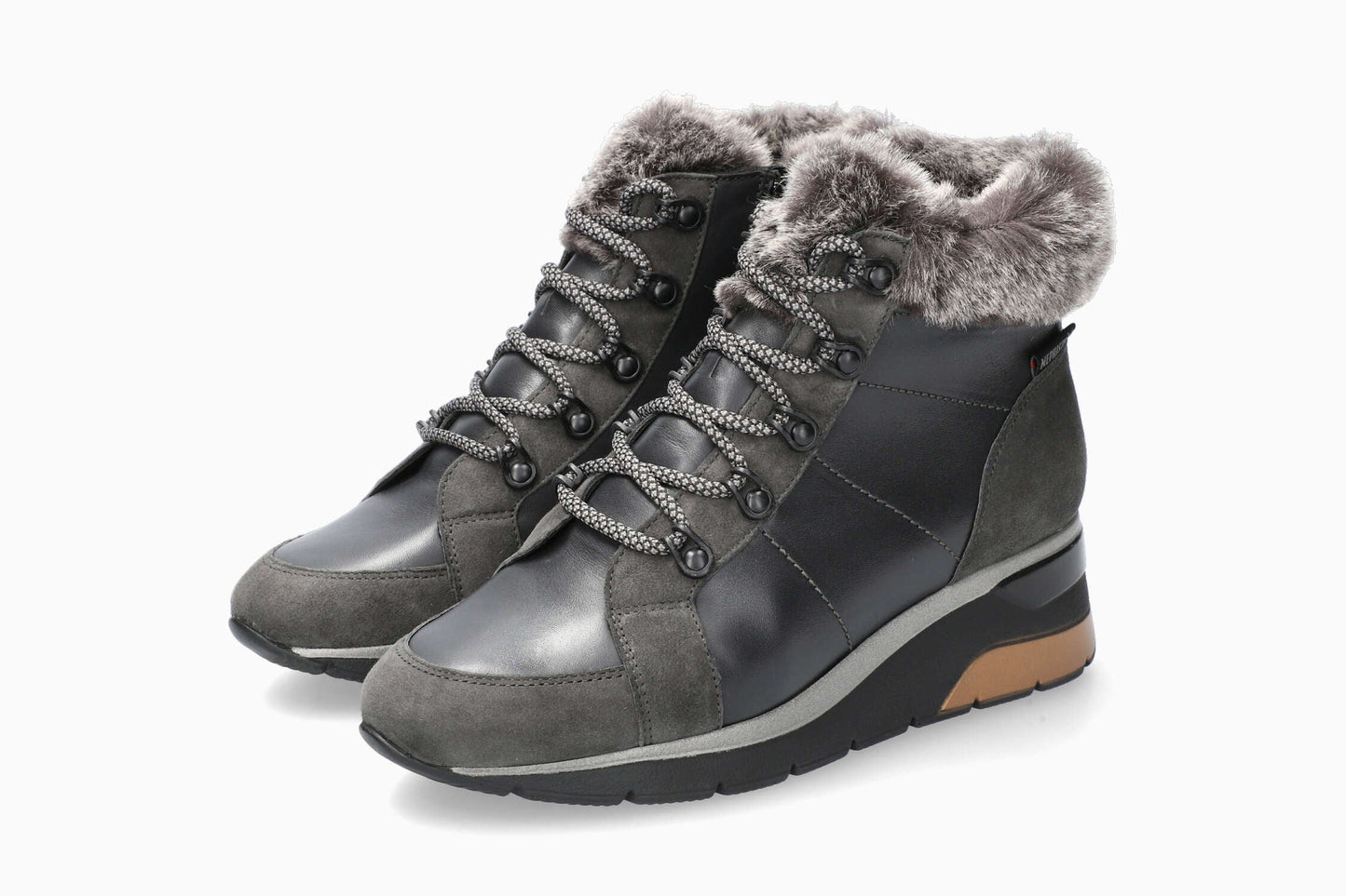 Evodia - Carbon | M6ZG