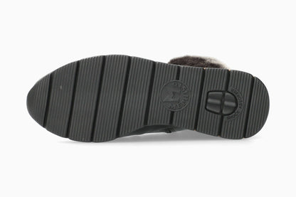 Evodia - Carbon | M6ZG