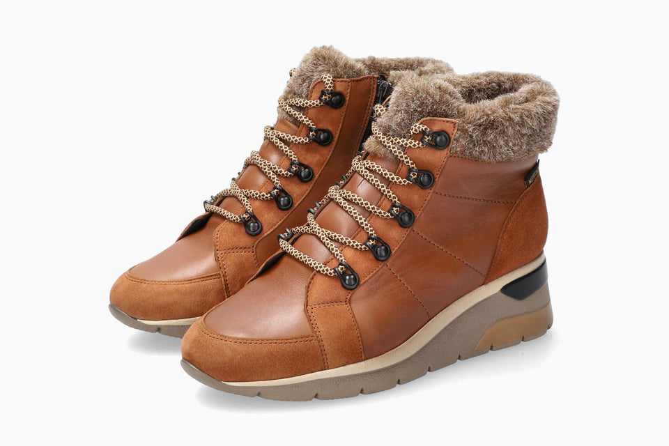 Evodia - Hazelnut | M6ZH