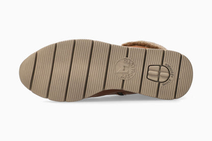 Evodia - Hazelnut | M6ZH