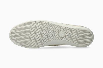 Katie Sun - Gold | M6FA