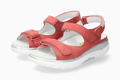 Norine - Old Pink | M7CN