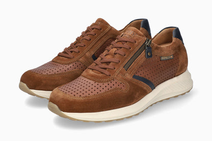 Dino Perf - Brown | M7GS