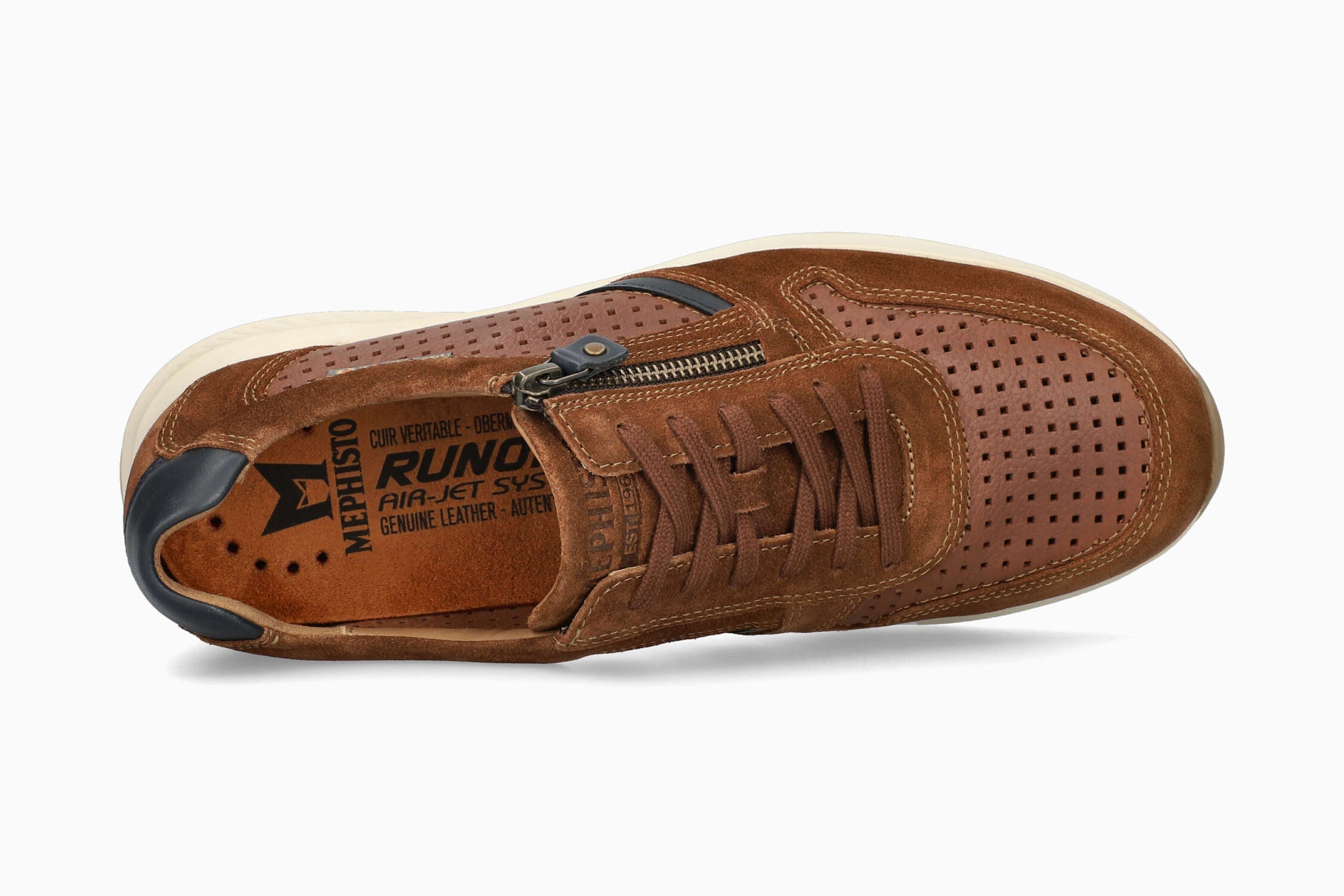 Dino Perf - Brown | M7GS