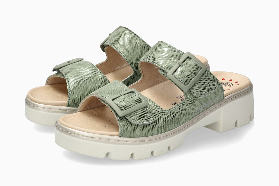 Alba - Green Almond | M7BL