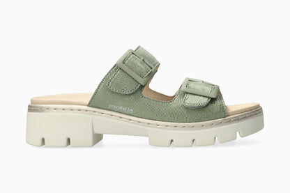 Alba - Green Almond | M7BL