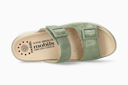 Alba - Green Almond | M7BL