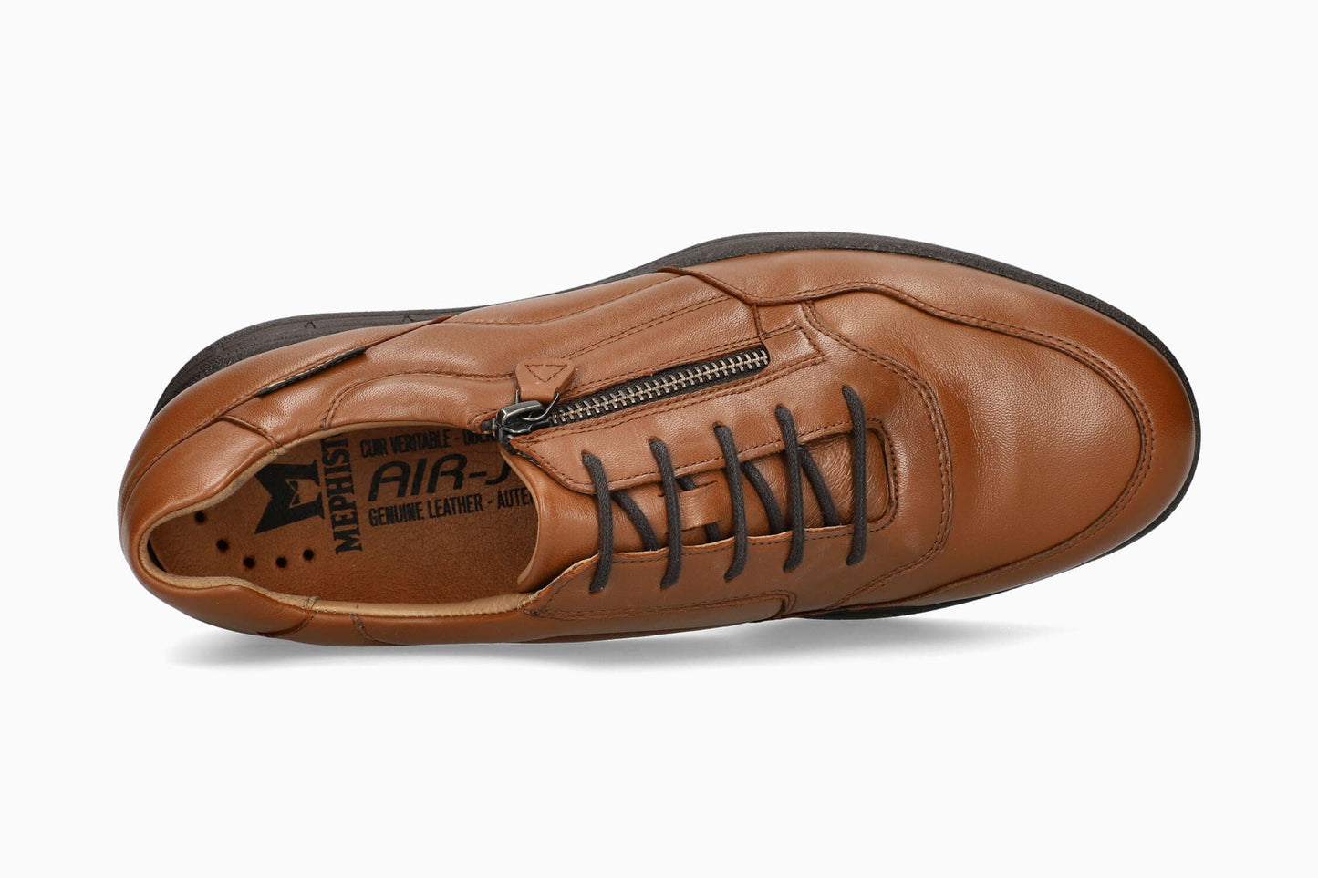 Ilkar - Hazelnut | M7IO | M7IO