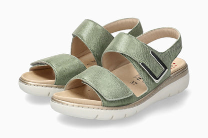 Lalia - Green Almond | M7BL