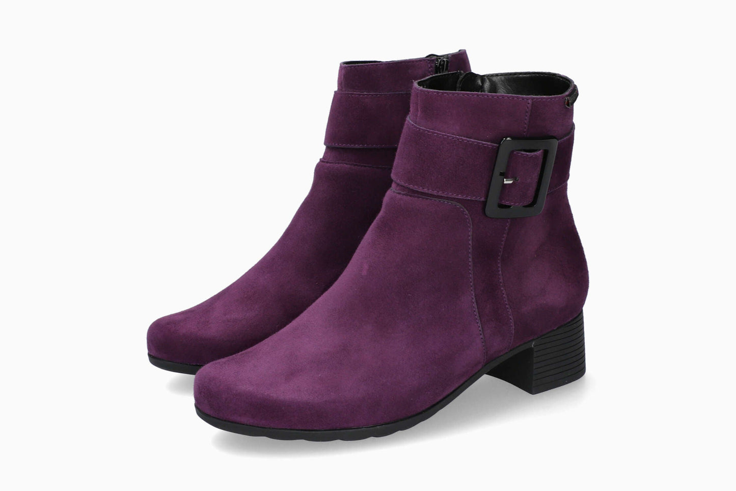 Gianina - Purple | M7ME