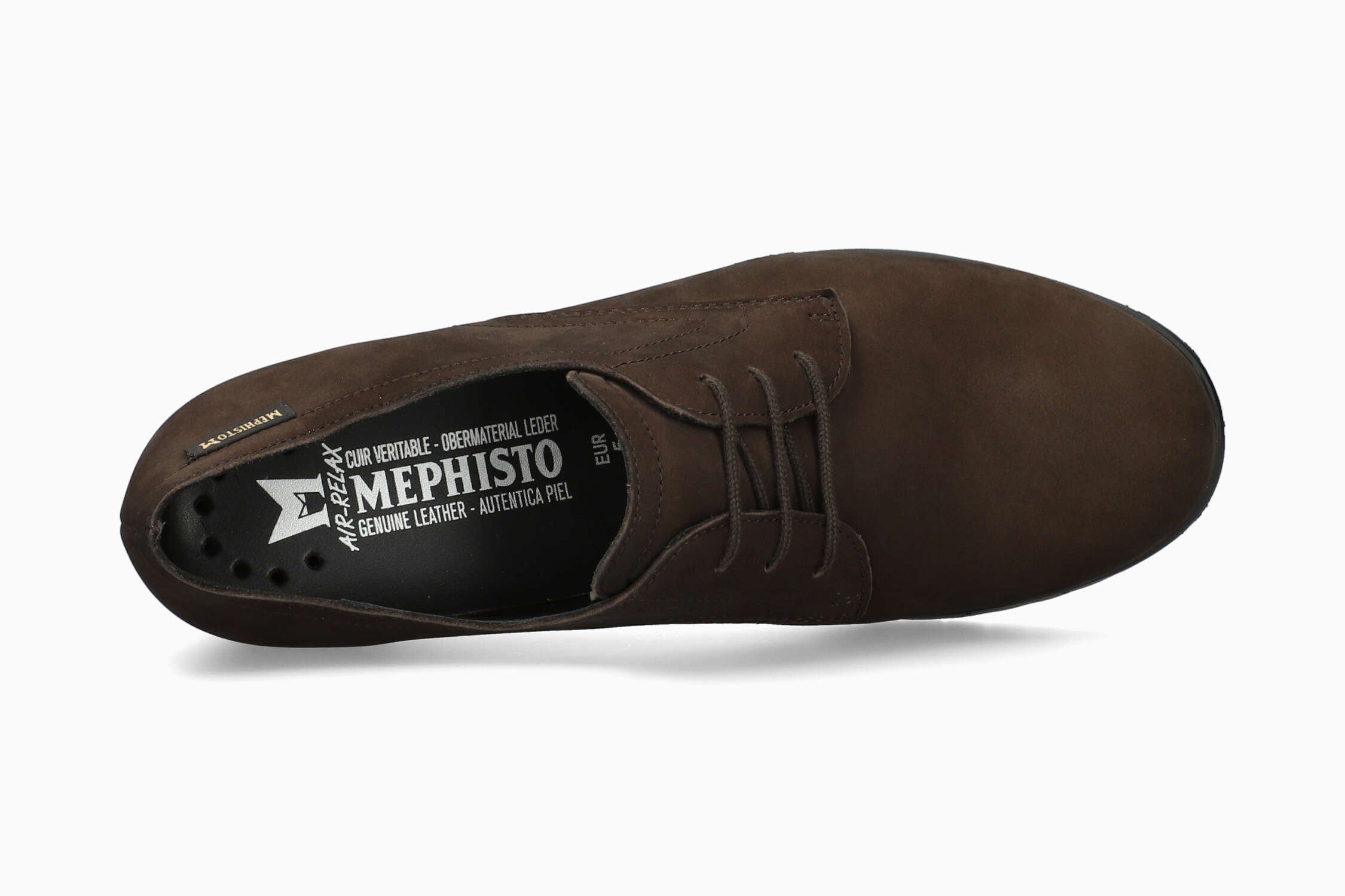 Iacina - Dark Oak | M7ML