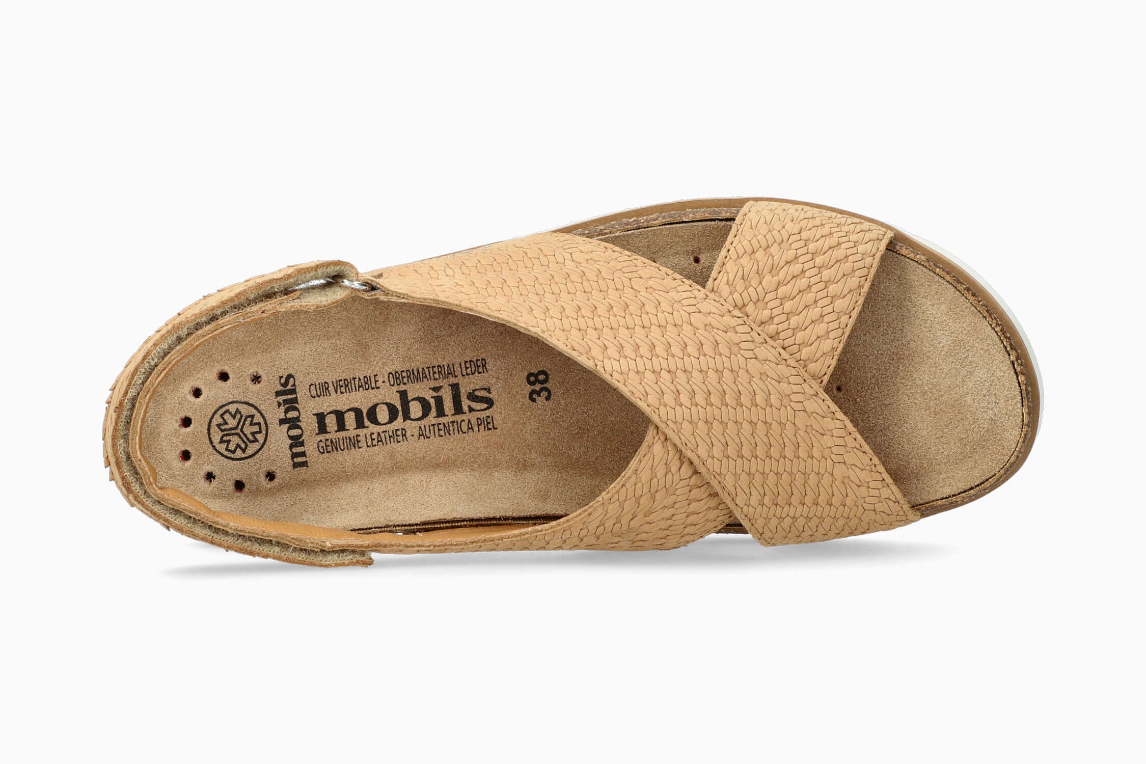 Tally - Brandy | M7VV