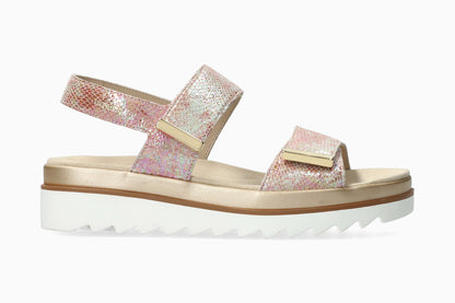 Dominica - Rosewood | M7VZ