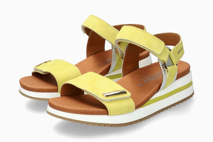 Jeanie - Apple | M7ZY