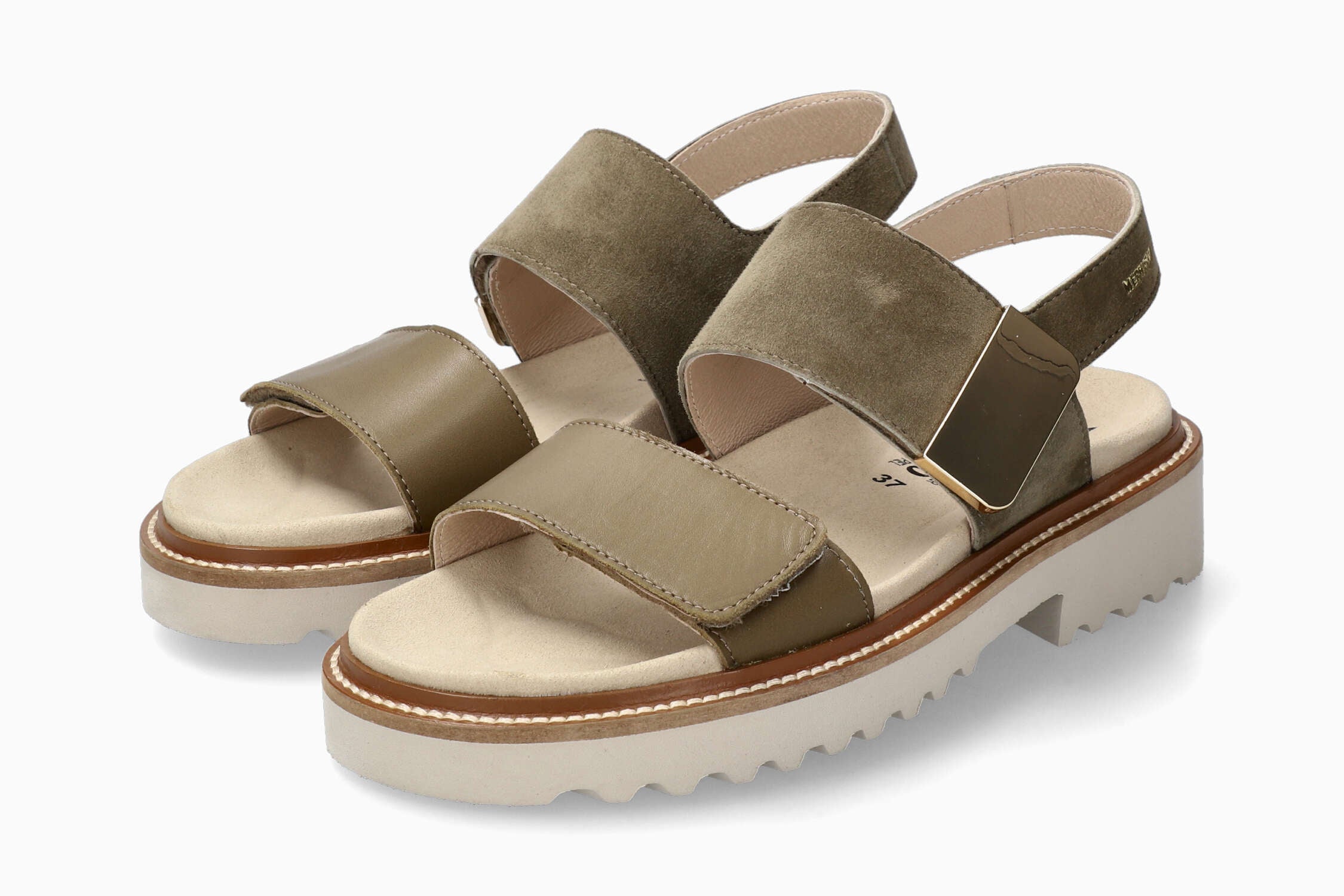 Violaine - Lichen | M8EV