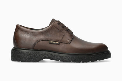 Eddy - Dark Brown | M1JQ