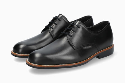 Fedrik - Black Men Business Shoes