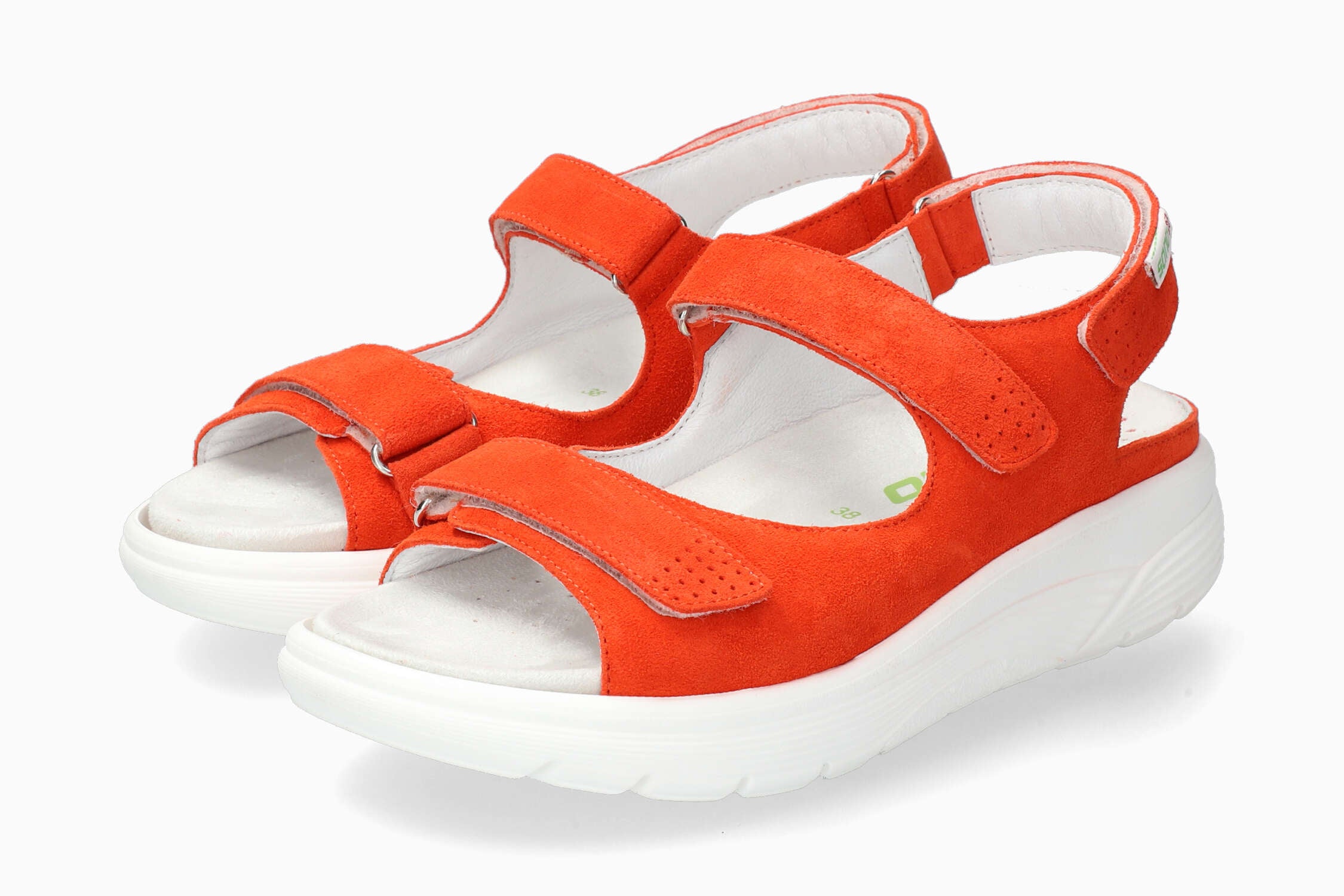 Norine - Tangerine Women Walking