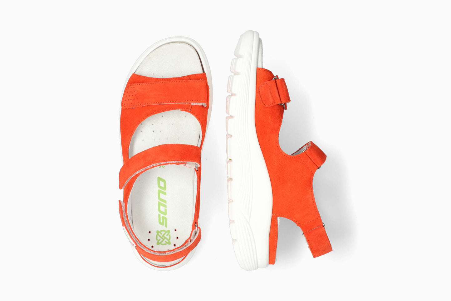 Norine - Tangerine Women Walking