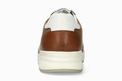 Norwin - Taupe Men Sneaker
